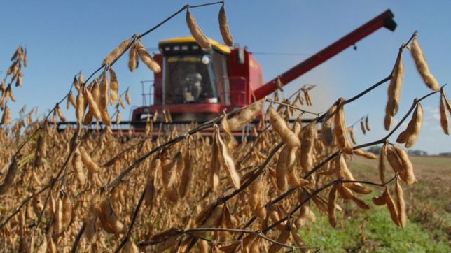 termino el dolar soja y massa anunciara cuantos dolares liquidaron los agroexportadores