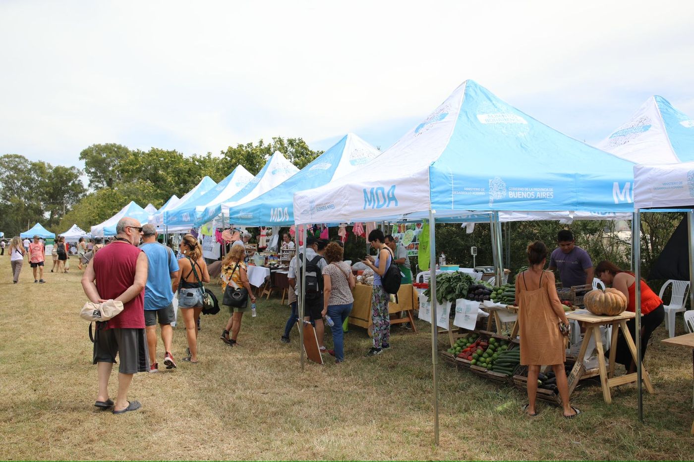 Cuenta DNI ofrece múltiples descuentos para esta jornada. Cuenta DNI ofrece múltiples descuentos para esta jornada.