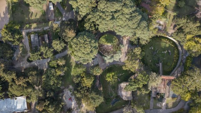 la oposicion volvio a la carga por el destino de bioparque y la muerte de 70 animales