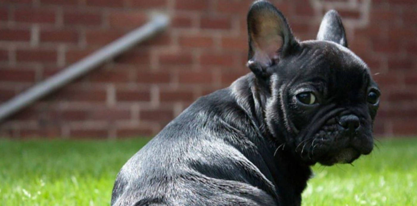 1622384390087.jpg?x=8&y=12&width=1257&height=628&rotate=0&scaleX=1&scaleY=1&ow=1270&oh=830&&cw=1920&ch=950