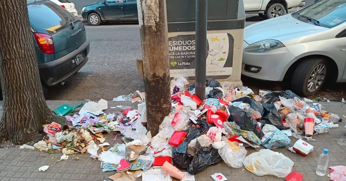 Vecinos de La Plata apuntan contra ESUR por la acumulación de basura en ...