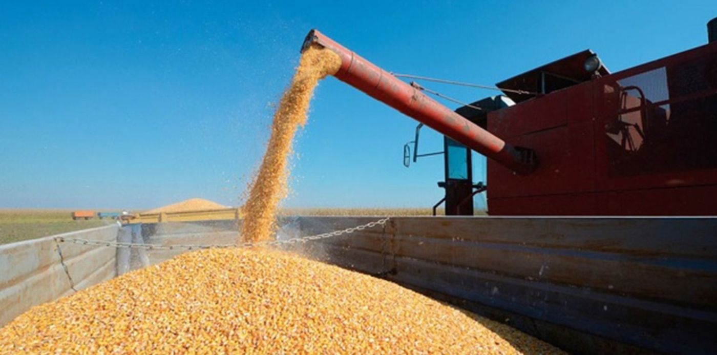 1647696444805.jpg?x=5&y=29&width=1480&height=740&rotate=0&scaleX=1&scaleY=1&ow=1500&oh=843&&cw=1920&ch=950