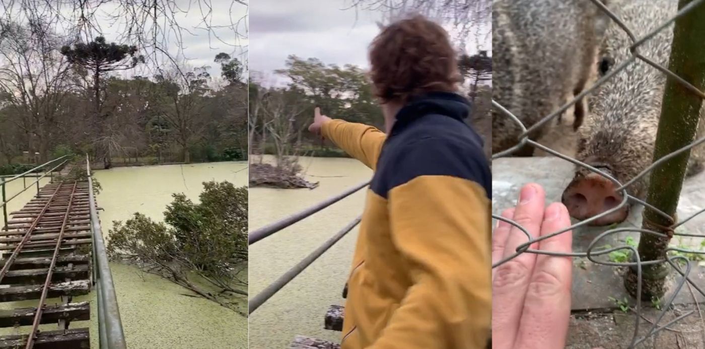 1594152307667.jpg?x=10&y=0&width=1900&height=950&rotate=0&scaleX=1&scaleY=1&ow=1920&oh=950&&cw=1920&ch=950