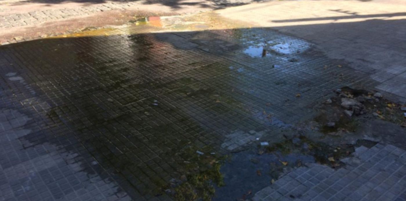 1550584373594.jpg?height=508&scaleY=1&oh=768&x=5&width=1017&scaleX=1&ow=1024&y=161&rotate=0&&cw=1920&ch=950