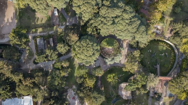 la plata ofrecio sus espacios municipales abiertos para los actos de fin de ciclo escolar