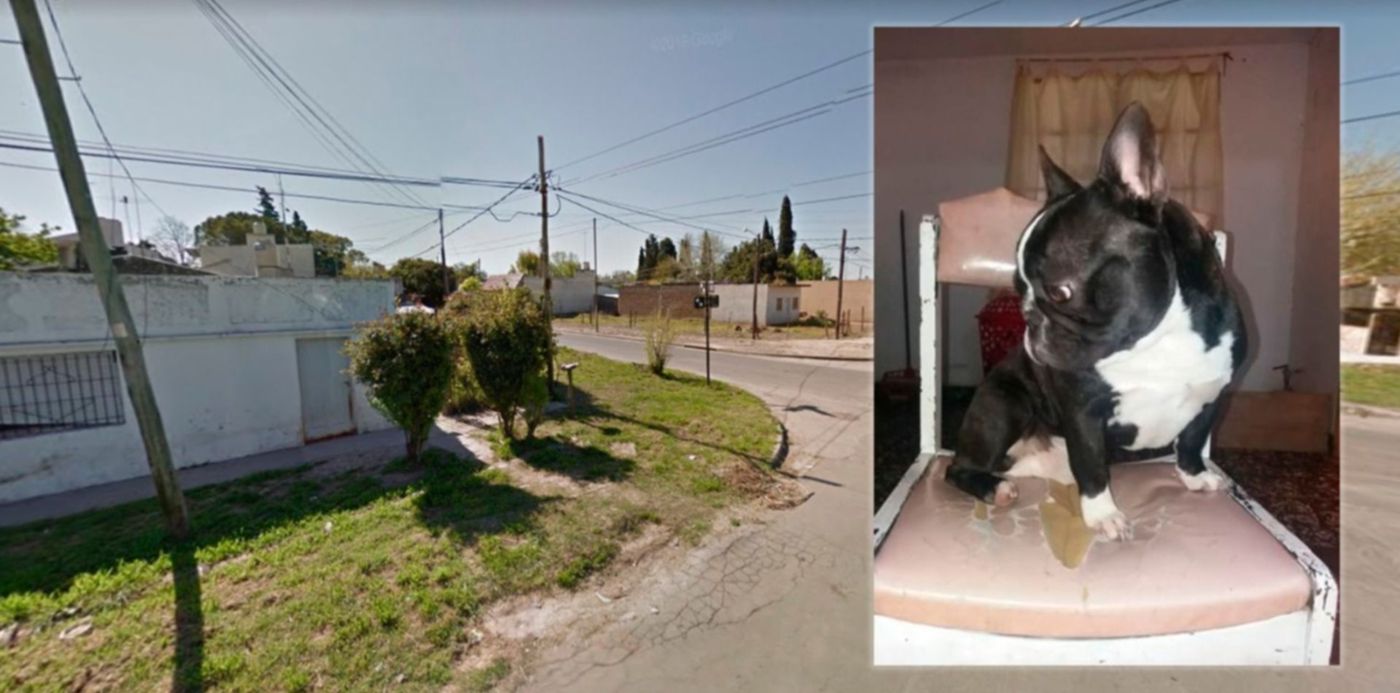 1541676173158.jpg?scaleY=1&ow=1500&y=51&width=1492&scaleX=1&oh=843&x=4&height=746&rotate=0&&cw=1920&ch=950