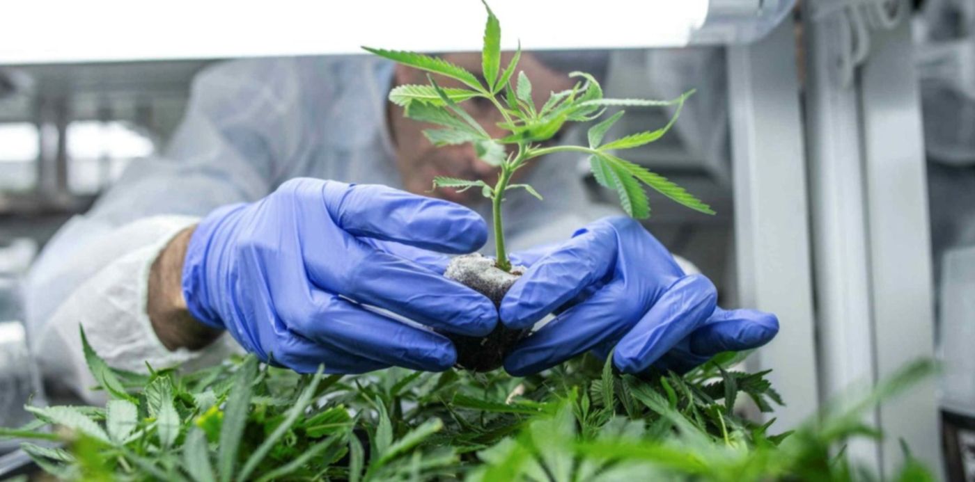 1568645583454.jpg?y=127&width=1487&rotate=0&x=7&height=743&scaleX=1&scaleY=1&ow=1500&oh=1000&&cw=1920&ch=950