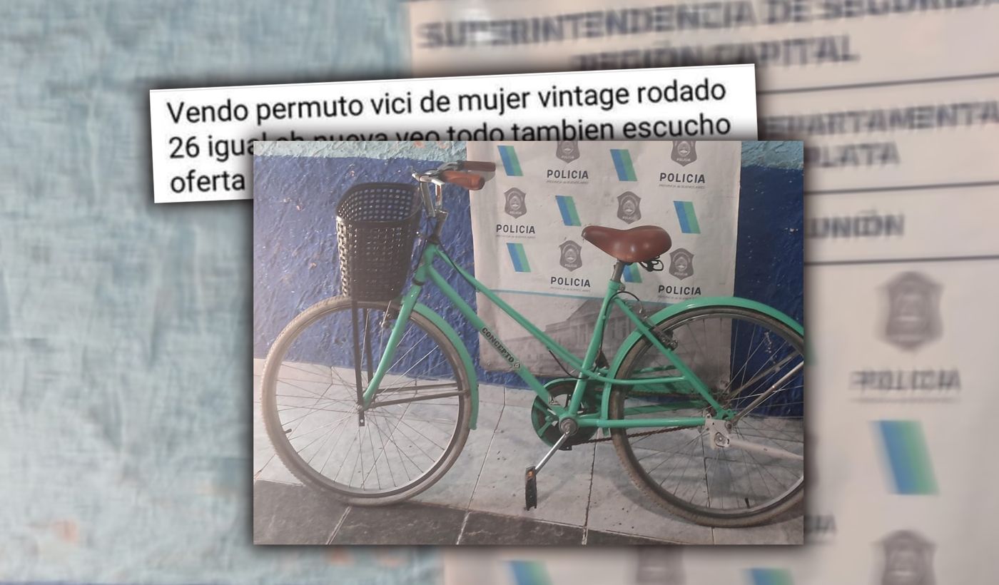 Robo de la bicicleta 1.jpg