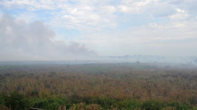 aseguran que el incendio en la reserva de punta lara esta controlado