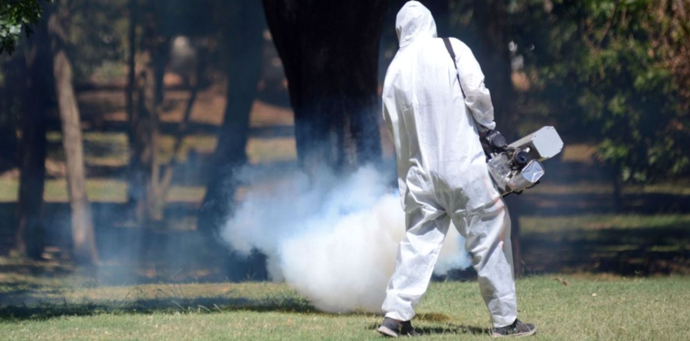 1583266520507.jpg?width=1491&scaleX=1&ow=1500&x=5&y=261&height=745&rotate=0&scaleY=1&oh=1039&&cw=1920&ch=950