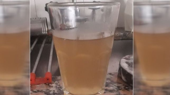 indignacion vecinal: en parque saavedra volvio el agua pero sale de color marron