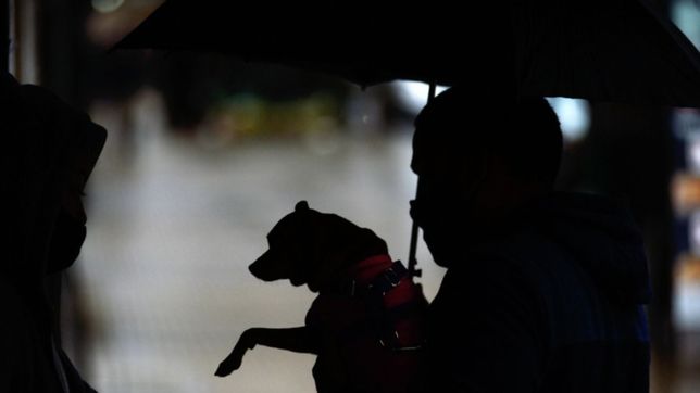 tormentas, viento y alerta: ¿hasta cuando van a seguir las lluvias en la plata?