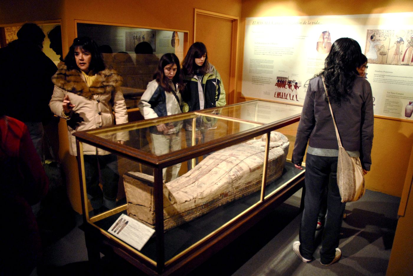 Momias del Museo de La Plata de 2007 (5)