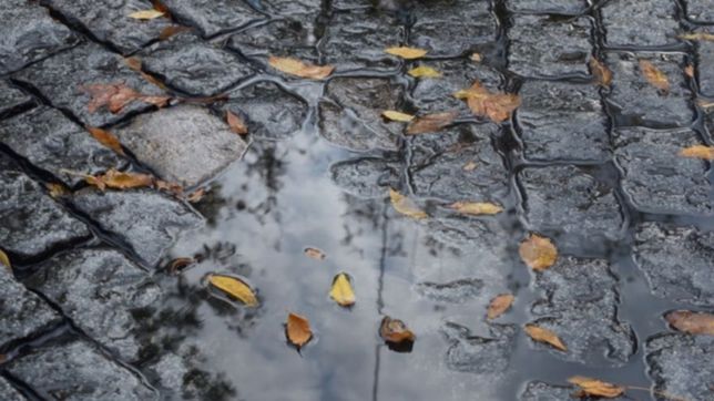 la justicia freno el asfaltado de las calles adoquinadas de la plata