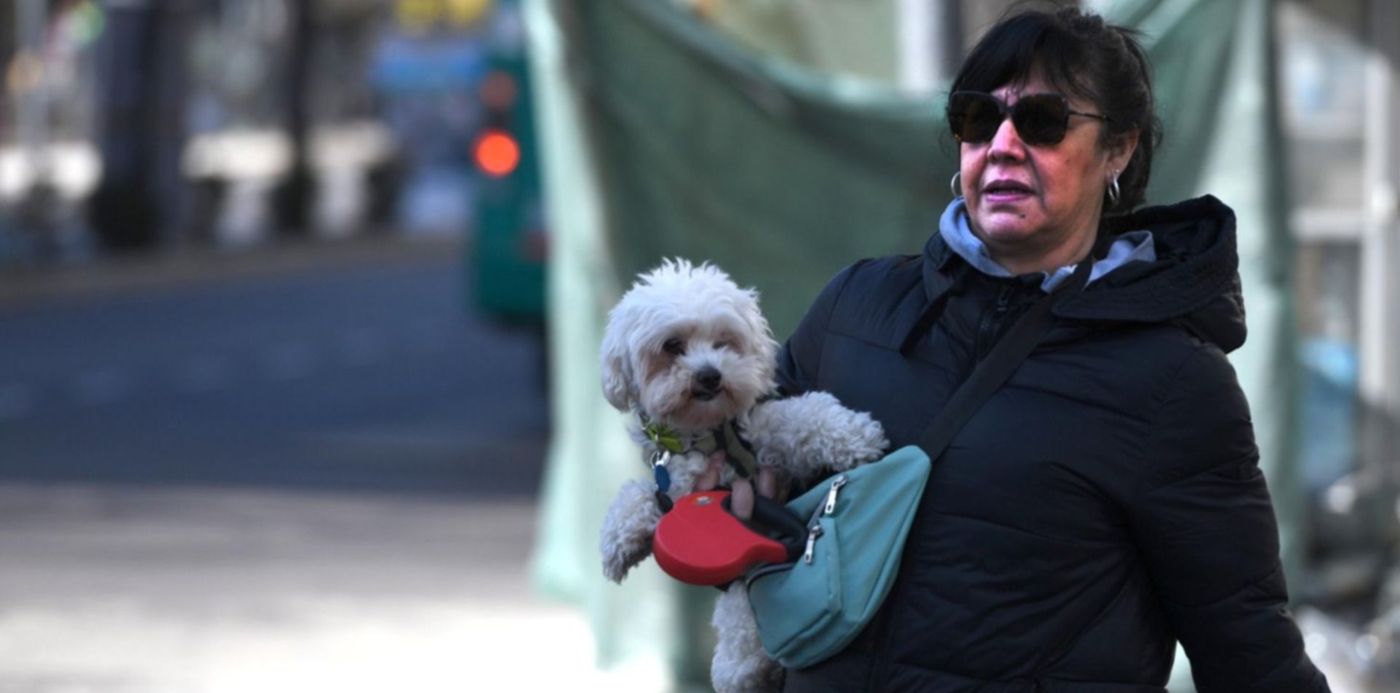 Clima Invierno Frío Ola polar