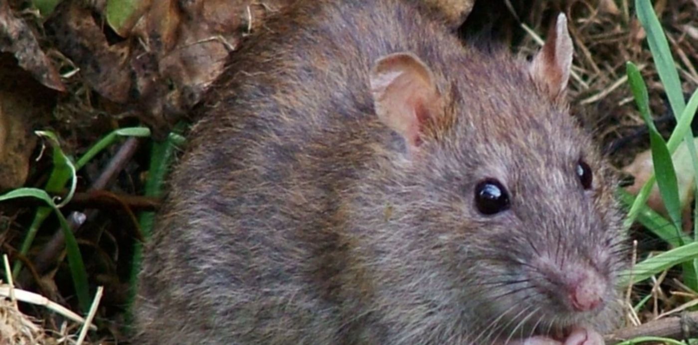 1578409709195.jpg?&cw=1920&ch=950