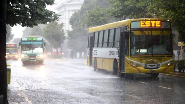 ¿cuanta agua representan los 130 mm que cayeron durante el temporal en la plata?