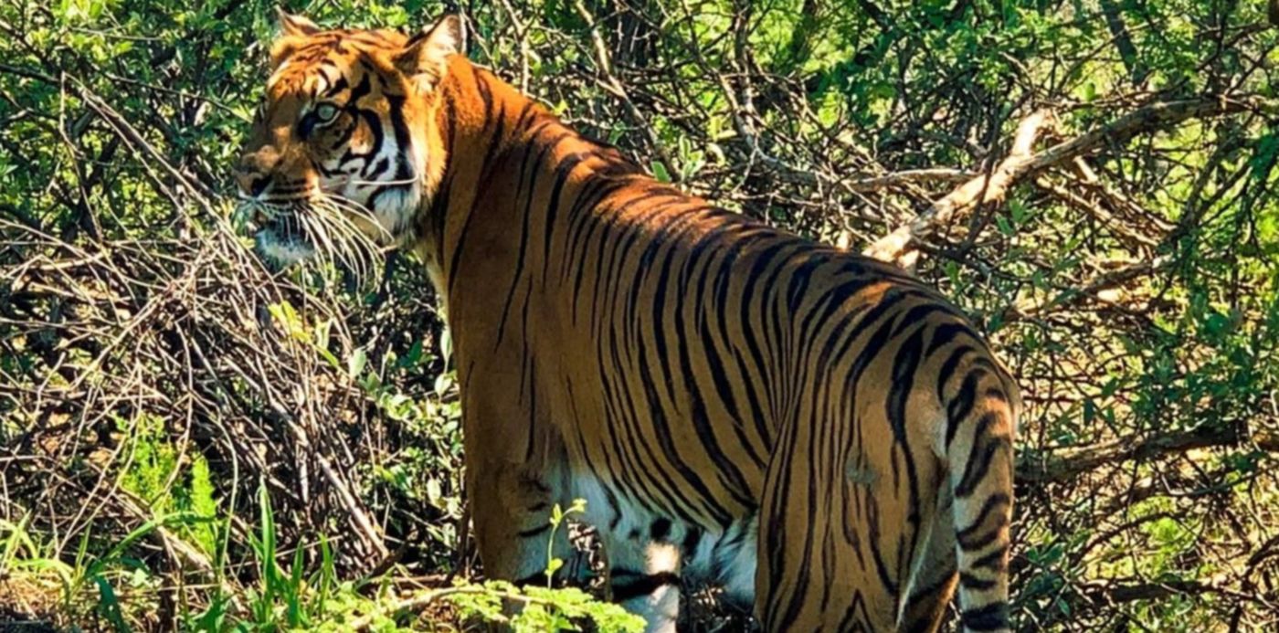 1576421092526.jpg?x=6&width=1271&scaleX=1&oh=891&y=41&height=636&rotate=0&scaleY=1&ow=1280&&cw=1920&ch=950