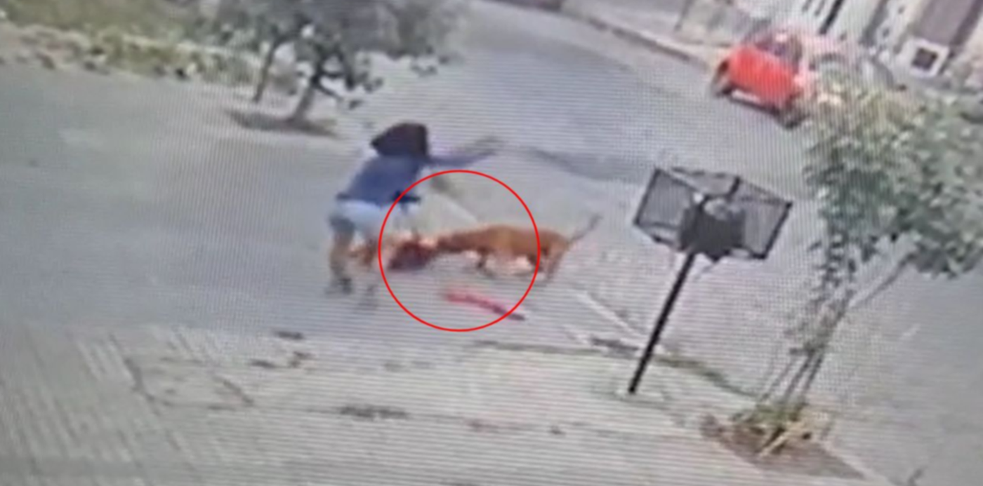 1652972988988.jpg?x= 5&y=58&width=1280&height=640&rotate=0&scaleX=1&scaleY=1&ow=1280&oh=720&&cw=1920&ch=950