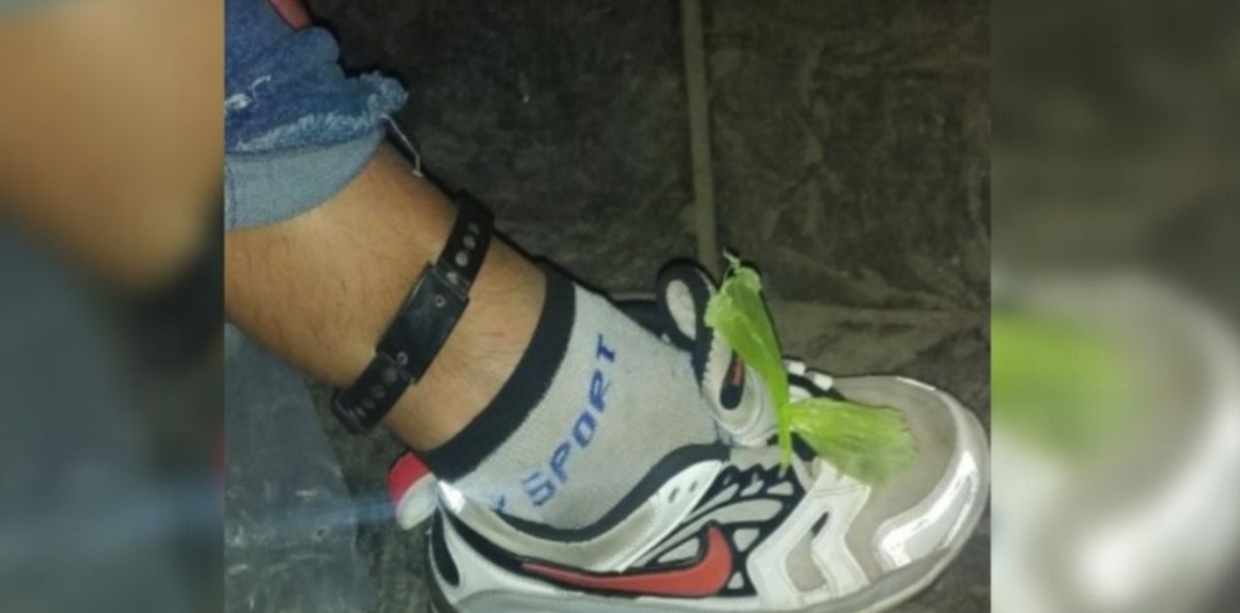 1653134744938.jpg?x=61&y=10&width=1253&height=626&rotate=0&scaleX=1&scaleY=1&ow=1350&oh=650&&cw=1920&ch=950