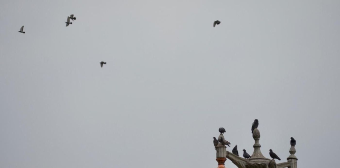 1598369674812.jpeg?&cw=1920&ch=950