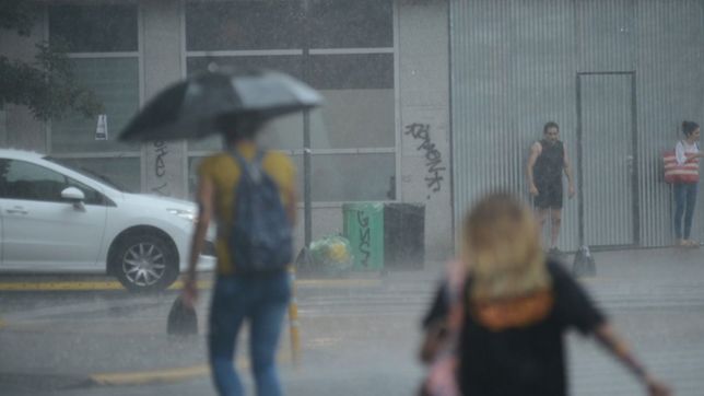 sigue el alerta meteorologico en la plata: ¿como va a seguir el clima en la semana?