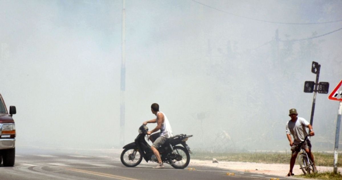 Fuego Humo Y Conmoción Una Quema De Pastizales Puso En Alerta A La Plata