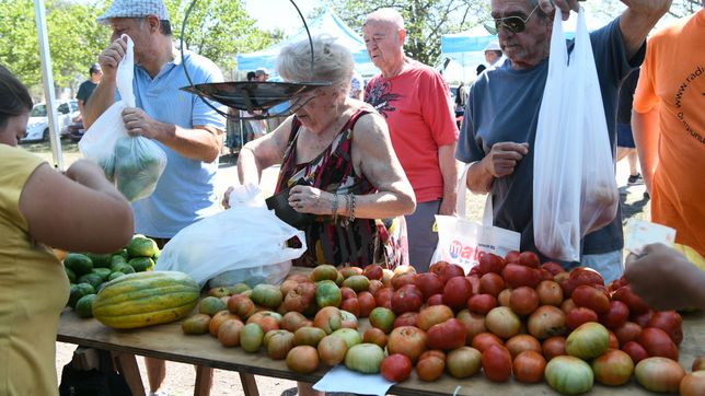 musica, recorrida y cocina: todo lo que tenes que saber sobre la fiesta del tomate platense