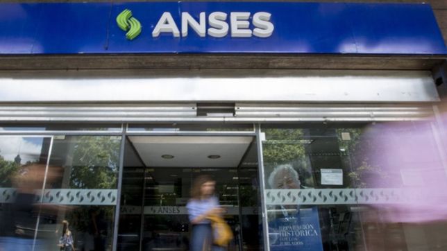 anses otorgo mas de 200.000 mil turnos presenciales para solicitar subsidios de luz y gas