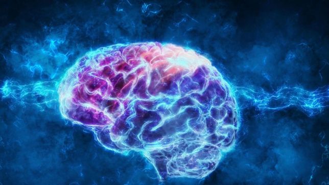 la plata sera sede de un seminario sobre neurociencias y envejecimiento