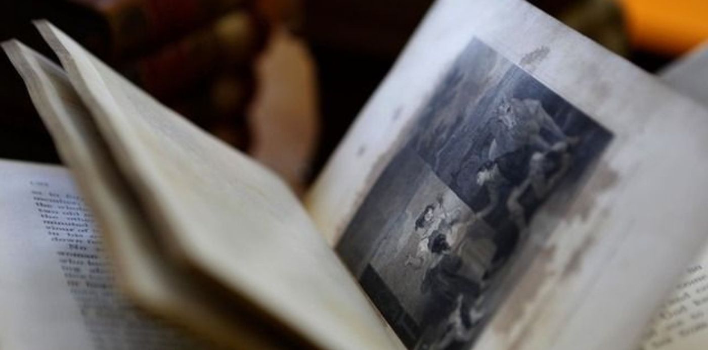 1554314842970.jpg?rotate=0&scaleX=1&scaleY=1&ow=640&width=636&y=57&height=318&oh=427&x=3&&cw=1920&ch=950