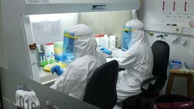 se registraron 137 muertes y 5.352 casos nuevos de coronavirus en el pais