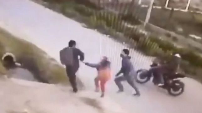 cayo el ladron que le apunto a una nena en la plata: habia sido liberado por el covid-19