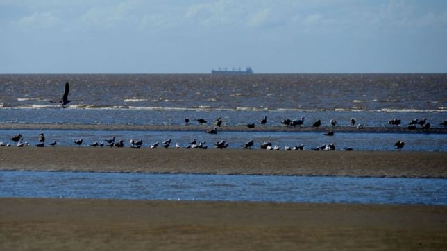 huellas, pajaros y desierto: asi estan las playas de punta lara en medio de la cuarentena