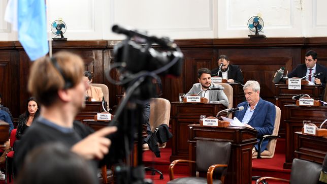 en la primera sesion en vivo, los concejales se trenzaron por los despidos en nacion y la plata