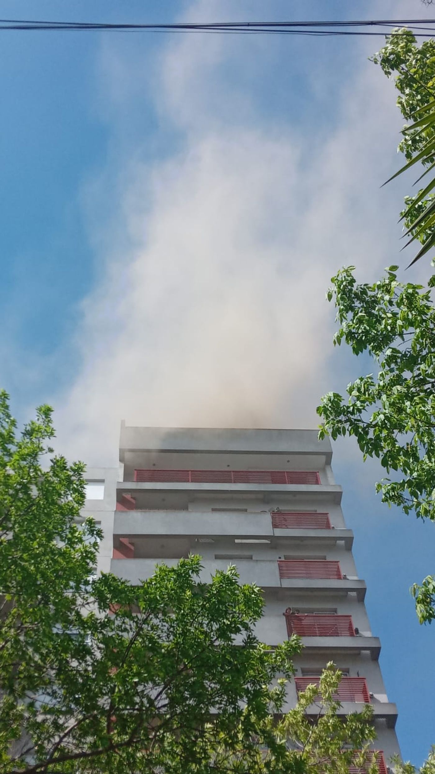 Imágenes de los vecinos del incendio del edificio en La Plata.