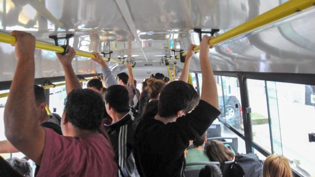 alertan por una disminucion del servicio de micros en el amba: ¿que pasara en la plata?