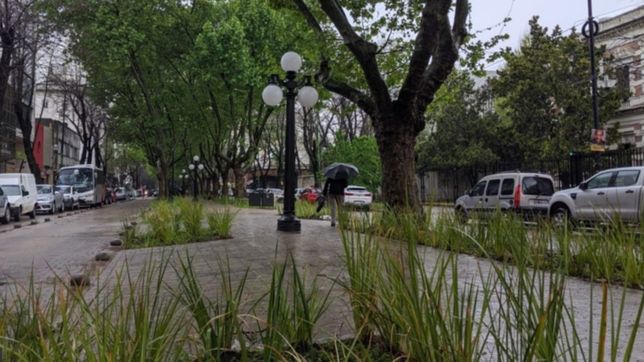 terminaron las obras en 51 y asi luce la flamante peatonal de la plata soho