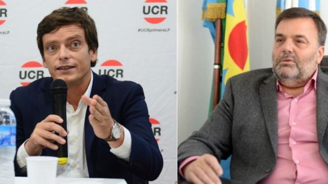 despues de cuatro anos volvera a haber internas por la conduccion de la ucr en la plata