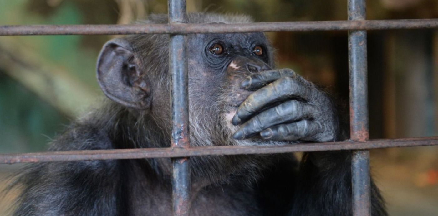 1569361260414.jpg?x= 2&y=102&width=1511&height=756&rotate=0&scaleX=1&scaleY=1&ow=1500&oh=973&&cw=1920&ch=950