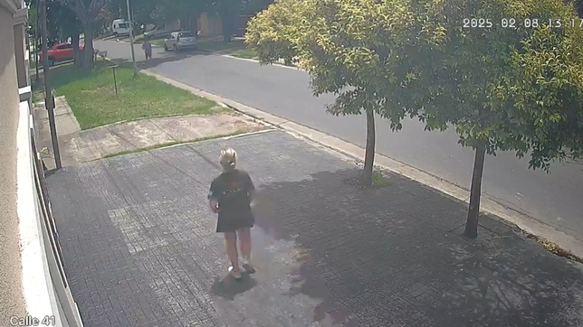 dos ladrones asaltaron a una mujer, los vecinos los detuvieron y casi los linchan