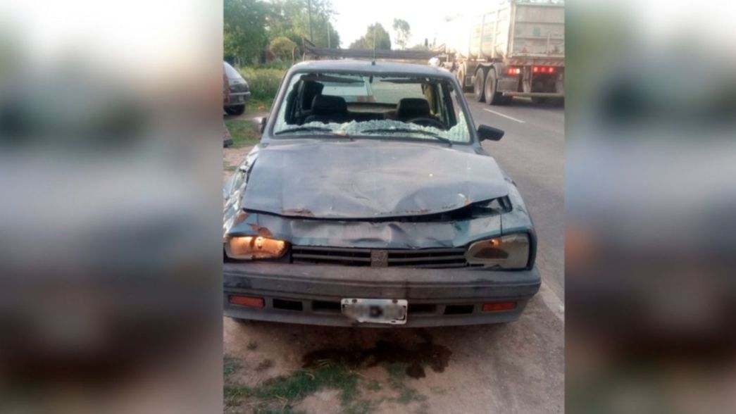Al borde de la tragedia: se le cruzó una vaca en La Plata, la chocó y se salvó de milagro