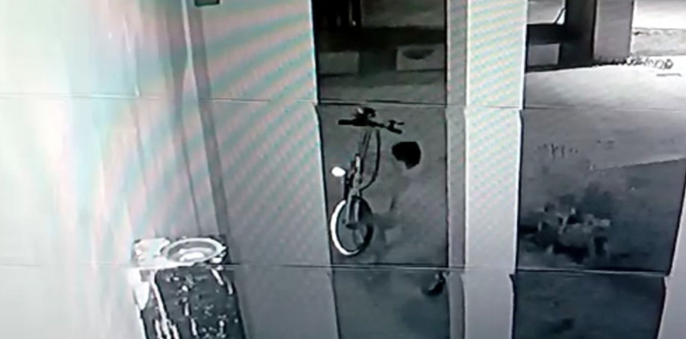 1594229956342.jpg?x=6&y=68&width=1470&height=735&rotate=0&scaleX=1&scaleY=1&ow=1483&oh=829&&cw=1920&ch=950