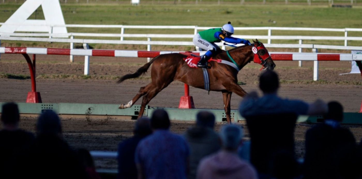 1601512185715.jpg?x=6&y=253&width=1488&height=744&rotate=0&scaleX=1&scaleY=1&ow=1500&oh=1107&&cw=1920&ch=950