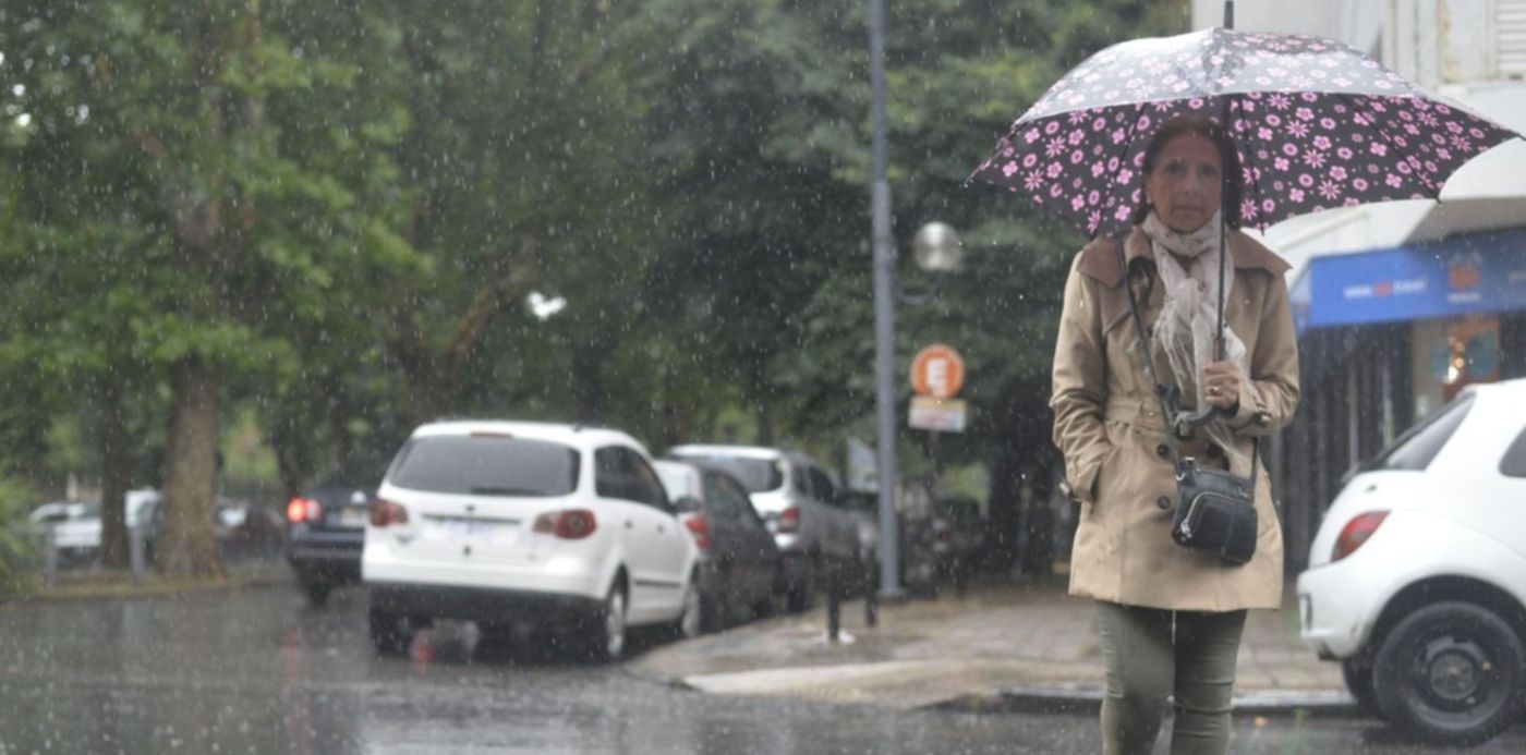 1545095007531.jpg?rotate=0&ow=1500&width=1480&height=740&scaleX=1&scaleY=1&oh=932&x=13&y=14&&cw=1920&ch=950