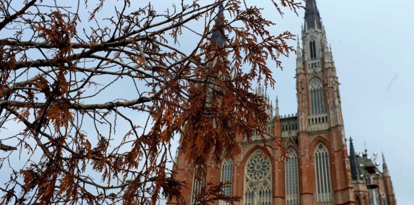 Clima Otoño Nublado Hojas