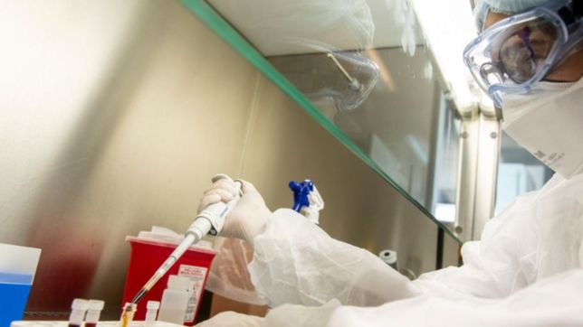 argentina sumo 8.222 casos nuevos y 152 muertes por covid-19 en 24 horas