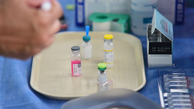 la plata intensifica la vacunacion y prevencion de enfermedades con operativos en los barrios