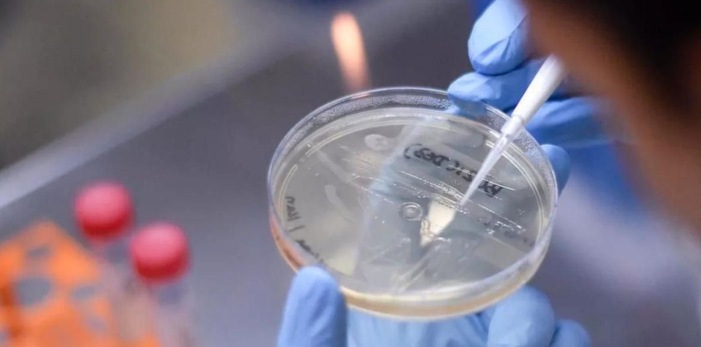 1624303272186.jpg?x=8&y=105&width=1179&height=590&rotate=0&scaleX=1&scaleY=1&ow=1200&oh=800&&cw=1920&ch=950