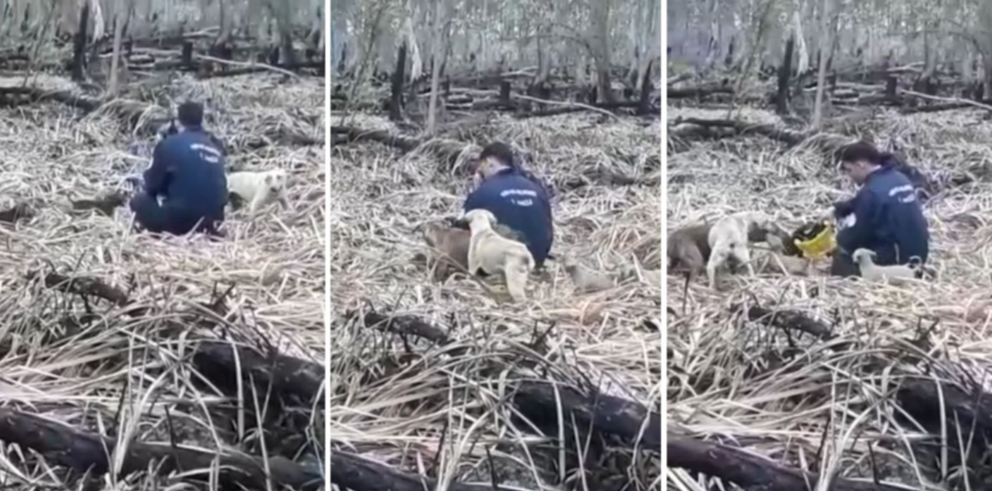 1673712693903.jpg?x=8&y=0&width=1484&height=742&rotate=0&scaleX=1&scaleY=1&ow=1500&oh=742&&cw=1920&ch=950